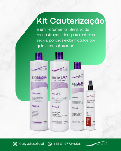 kit.cauterizacao.biomassa.site.atyva.liss.web.1